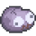 Pet rock.png