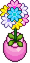 Potted friendship flowers.png