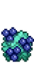 Blueberry growth 5.png