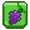 Grape seeds.png