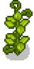 Bean growth 3.png