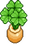 Potted lucky clovers.png