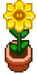 Potted viridis flower.png