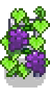 Grape growth 5.png