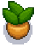 Cactonut tree growth 1.png