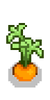 Carrot growth 3.png