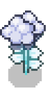 Cotton growth 4.png