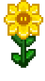 Viridis flower.png